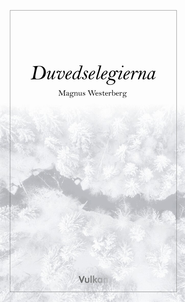Magnus Westerberg - Duvedselegierna, E-bok