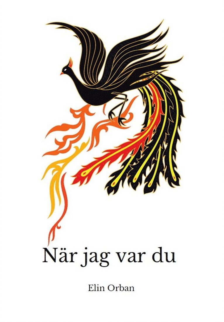Elin Orban - När jag var du, E-bok