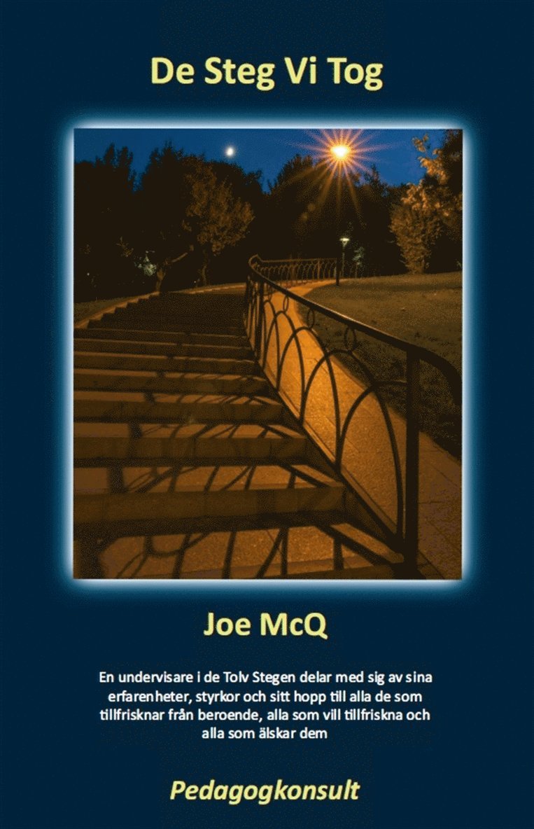 Joe McQ - De Steg Vi Tog, E-bok