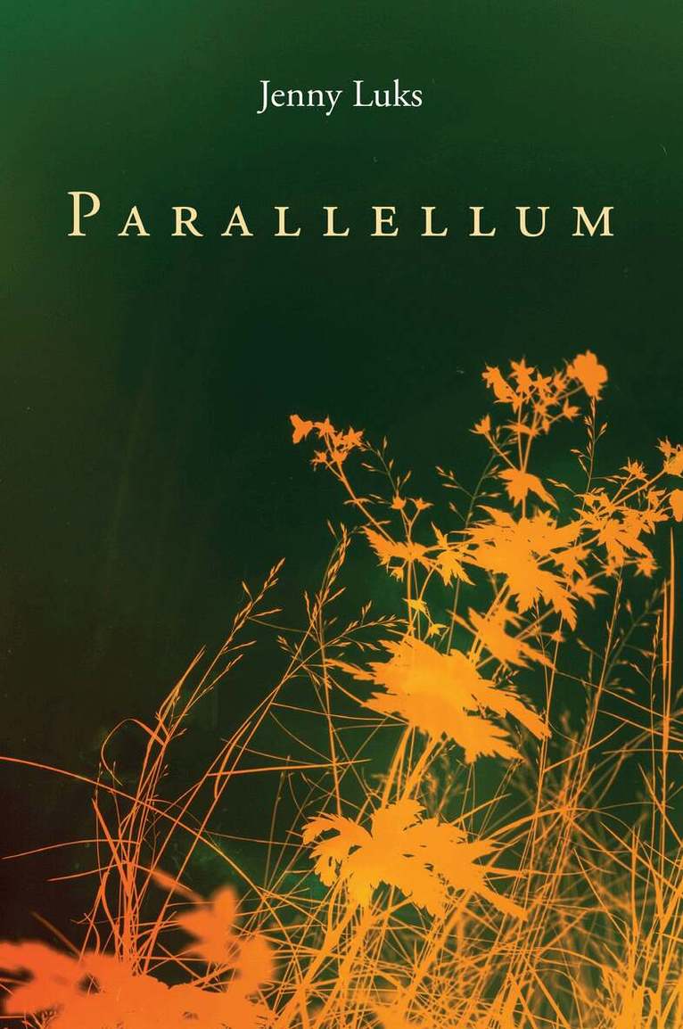 Jenny Luks - Parallellum, Häftad