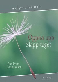 Öppna upp, släpp taget : finn livets sanna väsen