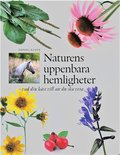 Naturens uppenbara hemligheter : vad din hst vill att du ska veta