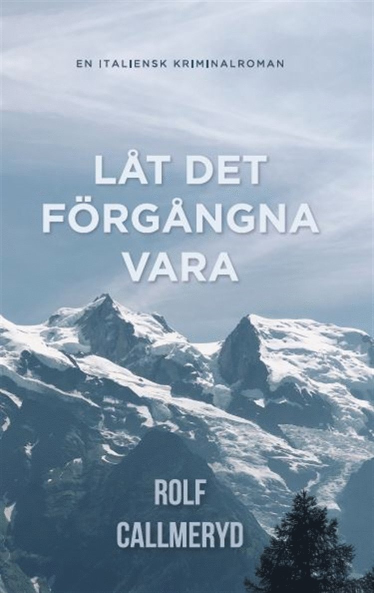 Rolf Callmeryd - Låt det förgångna vara, E-bok