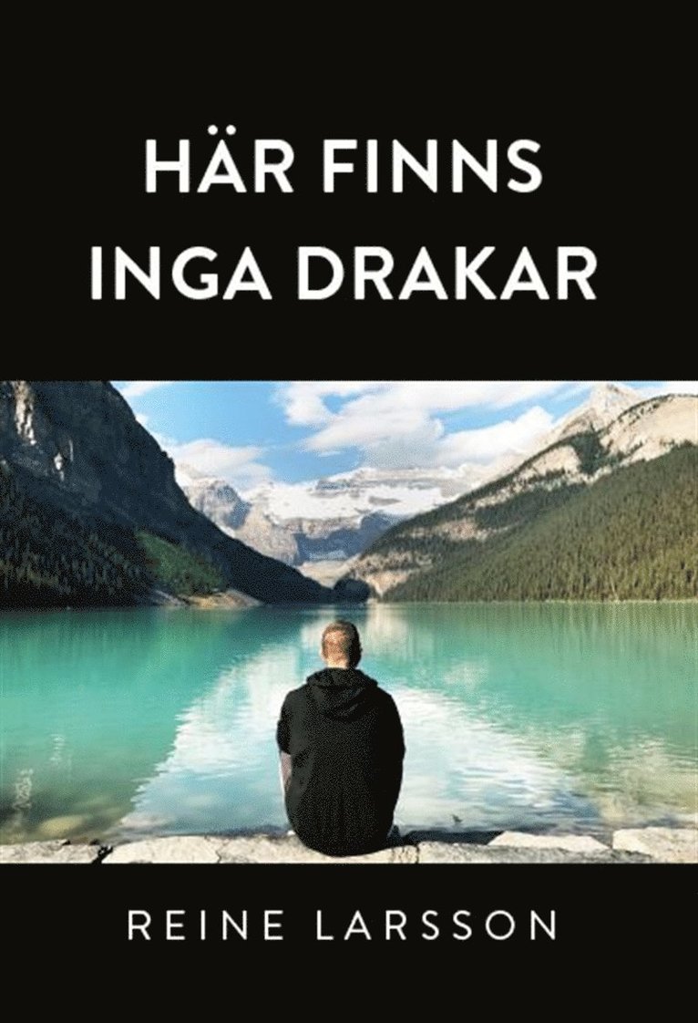 Reine Larsson - Här finns inga drakar, E-bok