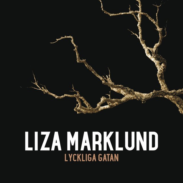 Liza Marklund - Lyckliga gatan, Ljudbok