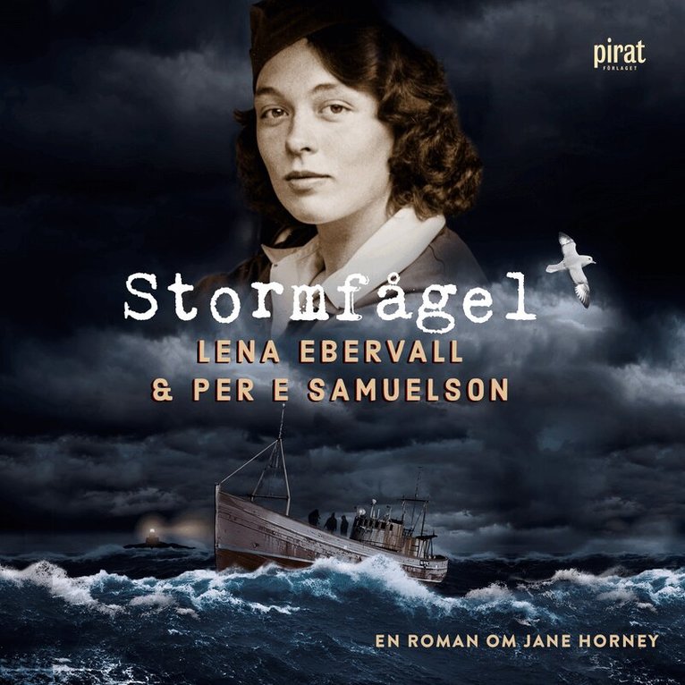 Ebervall & Samuelson - Stormfågel, Ljudbok