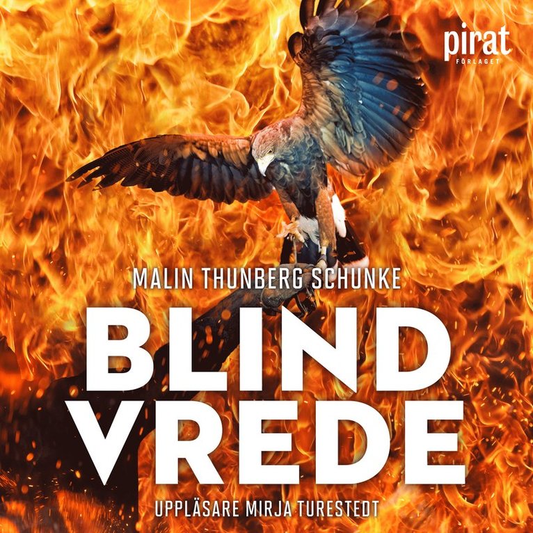 Malin Thunberg Schunke - Blind vrede, Ljudbok