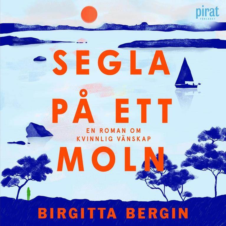 Birgitta Bergin - Segla på ett moln, Ljudbok