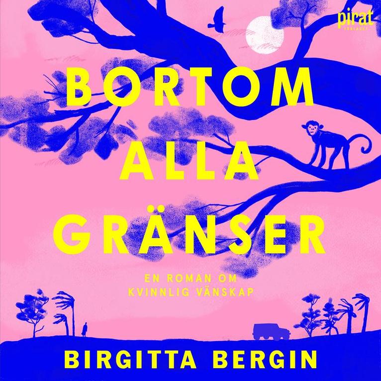 Birgitta Bergin - Bortom alla gränser, Ljudbok