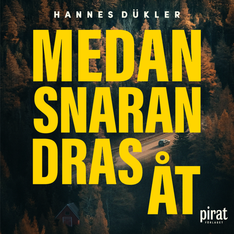 Hannes Dükler - Medan snaran dras åt, Ljudbok