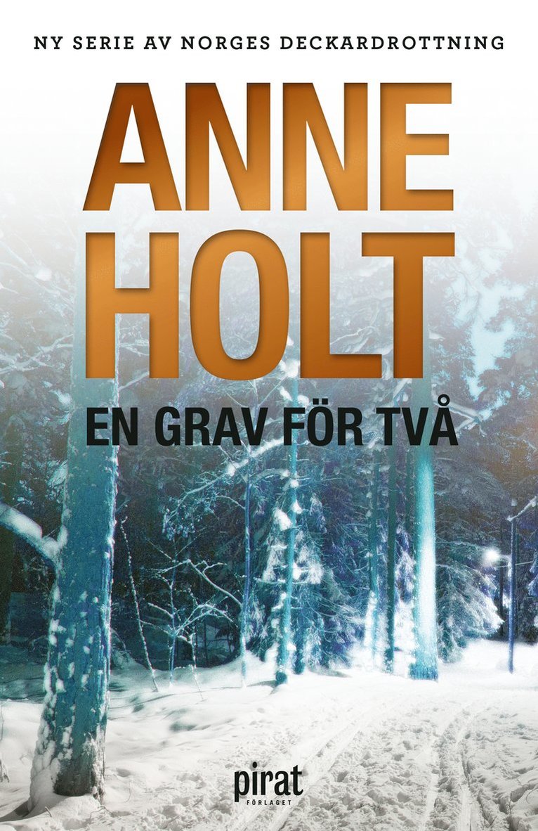 Anne Holt - En grav för två, E-bok