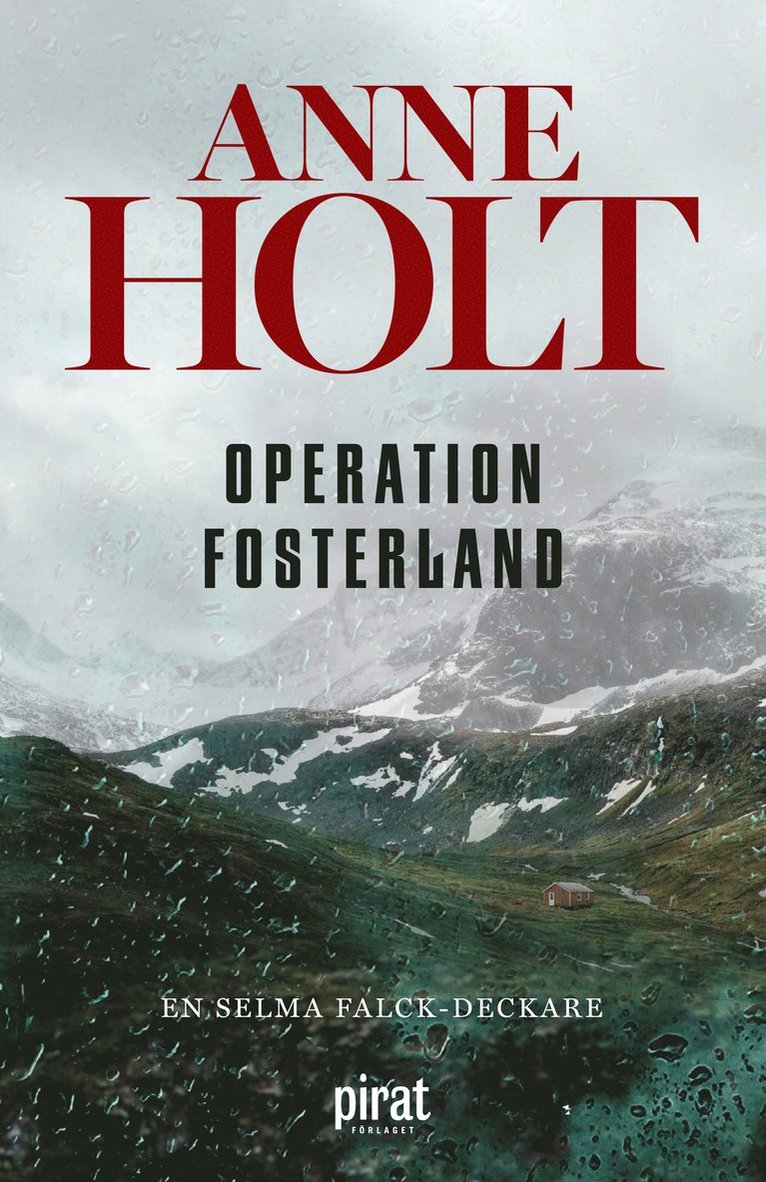 Anne Holt - Operation fosterland, E-bok