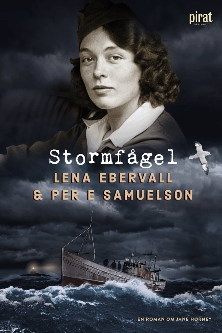 Ebervall & Samuelson - Stormfågel, E-bok