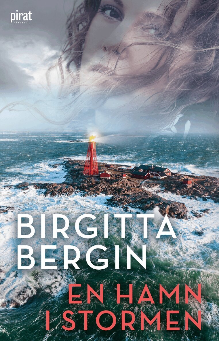Birgitta Bergin - En hamn i stormen, E-bok