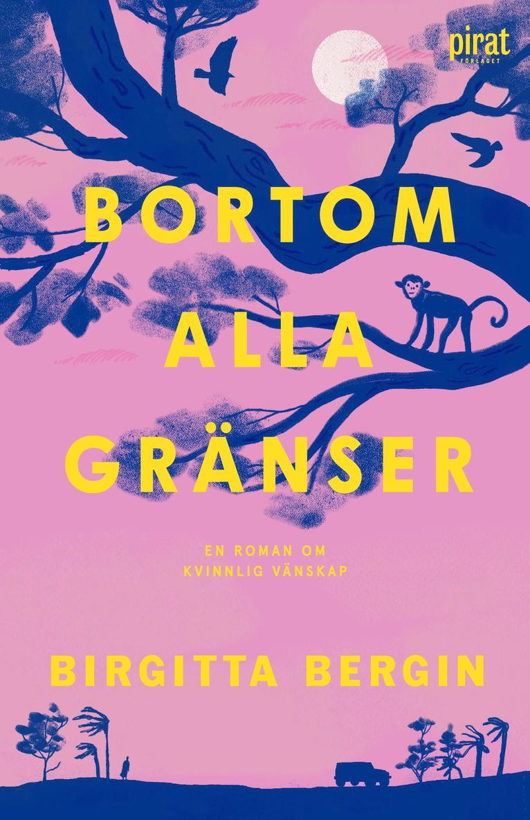 Birgitta Bergin - Bortom alla gränser, E-bok