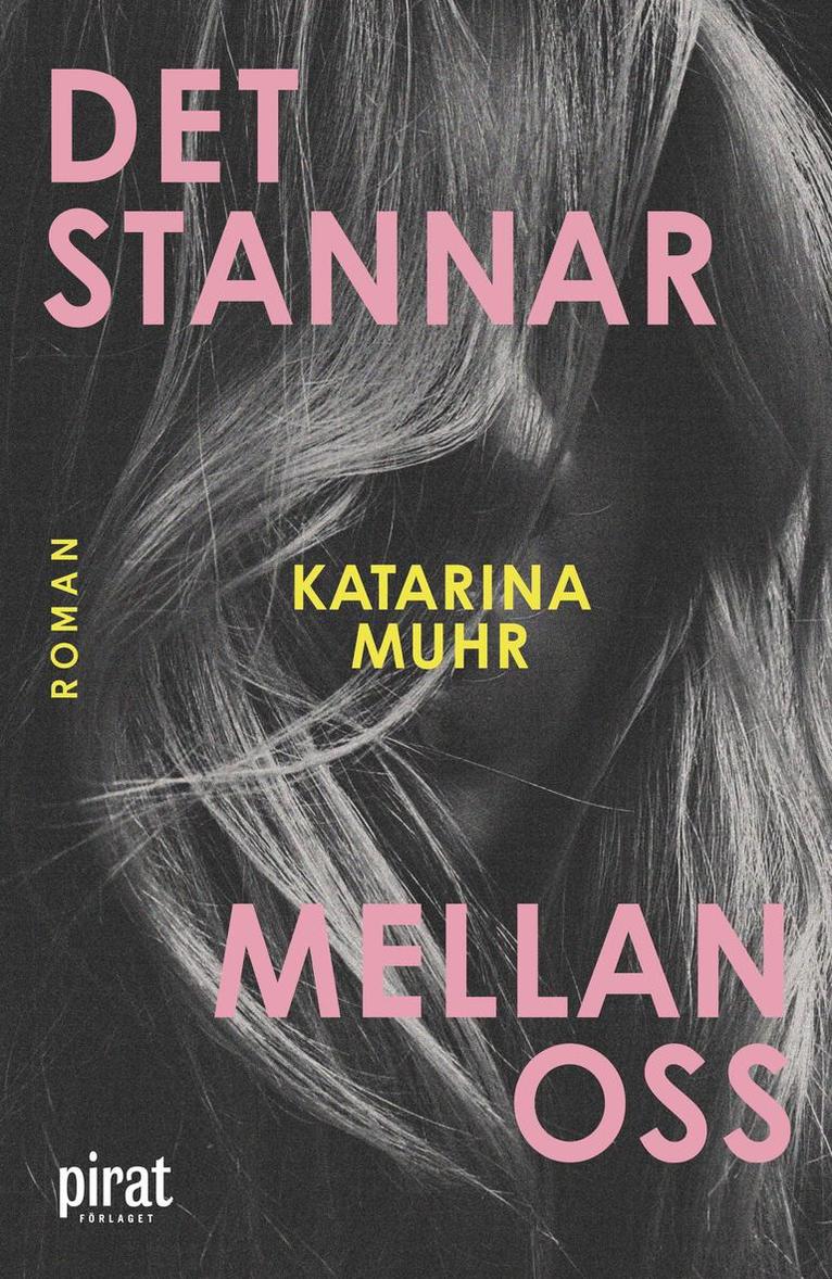 Katarina Muhr - Det stannar mellan oss, E-bok