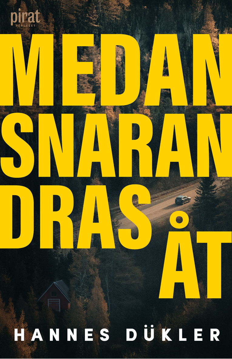 Hannes Dükler - Medan snaran dras åt, E-bok