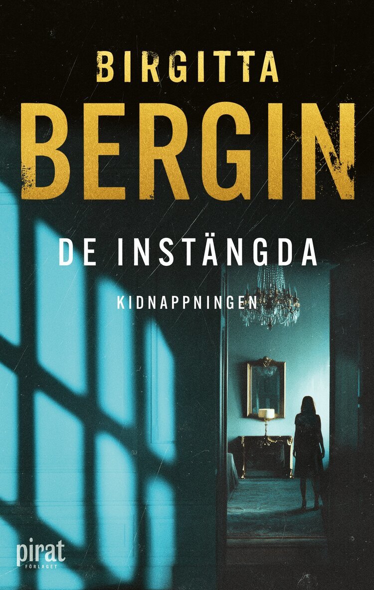 Birgitta Bergin - Kidnappningen, E-bok