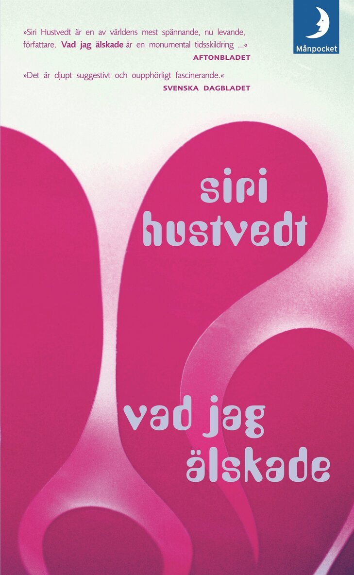 Siri Hustvedt - Vad jag älskade, Pocket