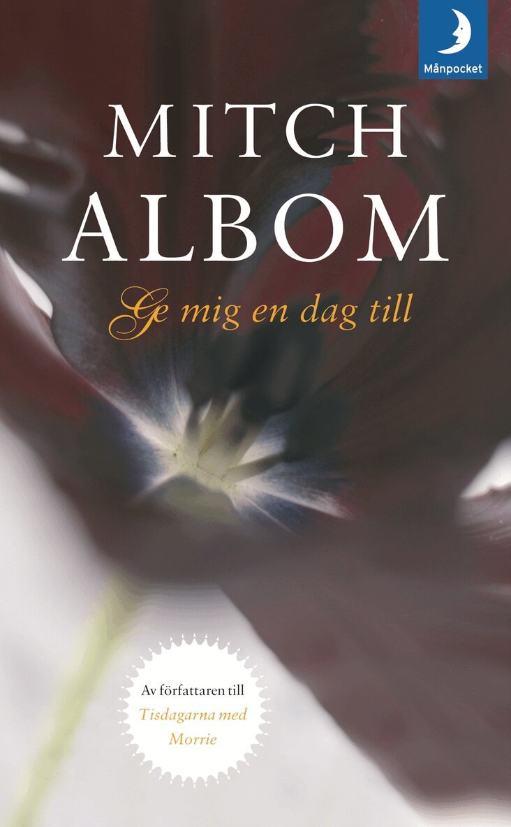 Mitch Albom - Ge mig en dag till, Pocket