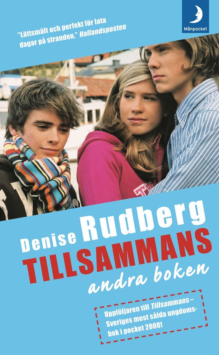 Denise Rudberg - Tillsammans : andra boken, Pocket