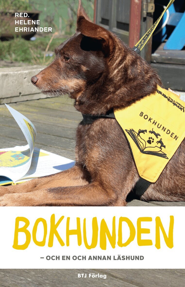 Bokhunden : och en och annan läshund, Häftad
