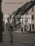 En vildmark av sten : Stockholm i litteraturen 1897-1916