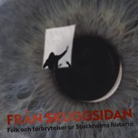 Från skuggsidan : folk och förbrytelser ur Stockholms historia