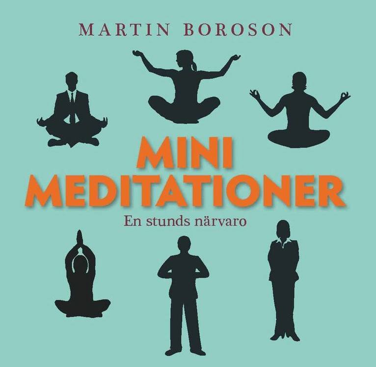 Martin Boroson - Minimeditationer : en stunds närvaro, CD-bok