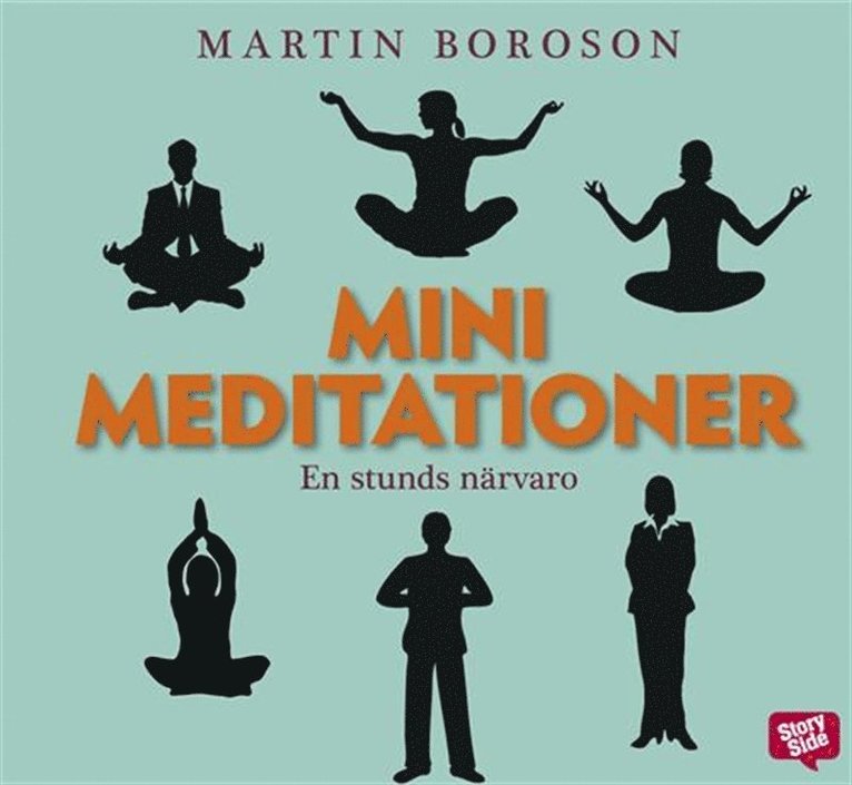 Martin Boroson - Minimeditationer - en stunds närvaro, Ljudbok