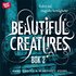 Beautiful creatures Bok 2, Svåra val, magiska hemligheter
