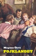 Pojklandet: Pojken I Svensk Barn- Och Ungdomslitteratur