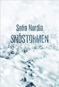 e-Bok Snöstormen