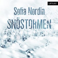 e-Bok Snöstormen <br />                        Ljudbok