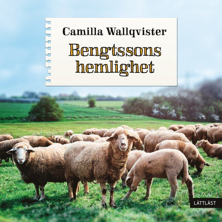 Camilla Wallqvister - Bengtssons hemlighet (lättläst), Ljudbok