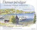 Dansar på vågor : strandhugg i blekingsk världsarvsmiljö = Dancing on waves