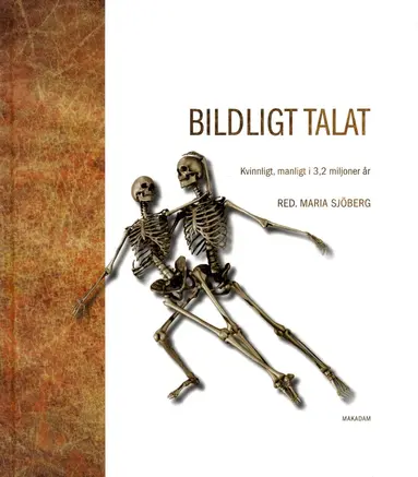 Maria Sjöberg, Henrik Alexandersson, Eva I Andersson, Elisabeth Arwill-Nordbladh, Maria Bruun-Lundgren, Annika Bünz, Martin Dackling, Lena Larsson Lovén, Audur Magnúsdóttir, Hanna Markusson Winkvist, Sari Nauman, Agneta Strömberg, Anita Synnestvedt - Bildligt talat : kvinnligt, manligt i 3,2 miljoner år, Inbunden