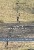 Gngarter och gngstilar: Rum, rytm och rrelse till fots
