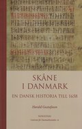 Skne i Danmark : en dansk historia till 1658