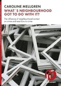 What's neighbourhood got to do with it? : the influence of neighbourhood context on crime and reactions to crime