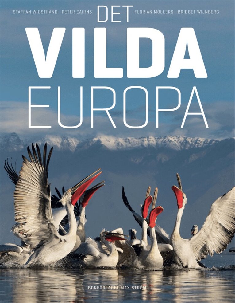 Staffan Widstrand, Peter Cairns, Florian Möllers, Bridget Wijnberg - Det vilda Europa, Inbunden