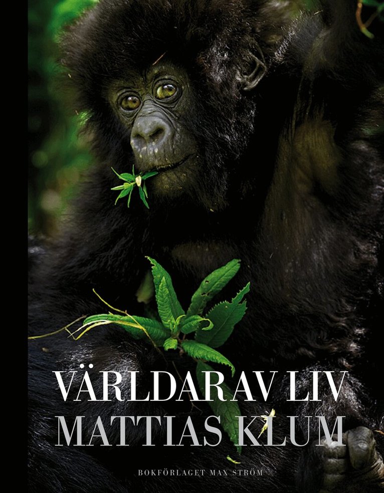 Mattias Klum - Världar av liv, Inbunden