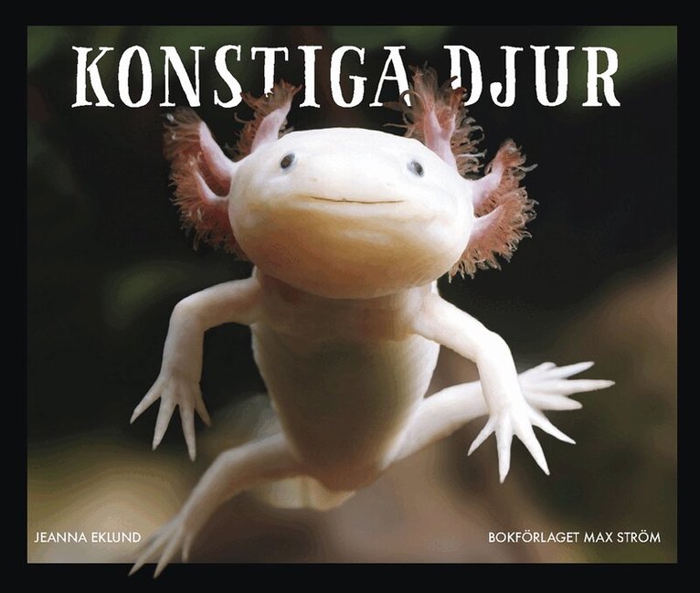 Jeanna Eklund - Konstiga djur : Varelser du inte trodde fanns, Kartonnage