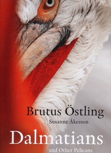 Brutus Östling, Susanne Åkesson - Dalmatians and other pelicans, Inbunden