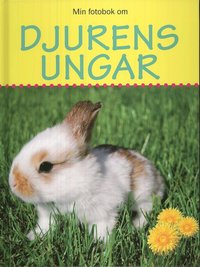 e-Bok Djurens ungar