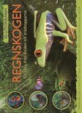 Regnskogen