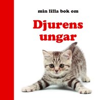 e-Bok Min lilla bok om Djurens ungar