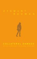 Collateral damage : social ojmlikhet i en global tidslder