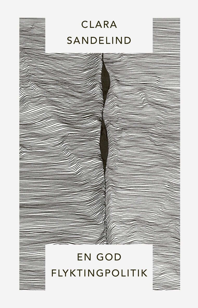 Clara Sandelind - En god flyktingpolitik, Häftad