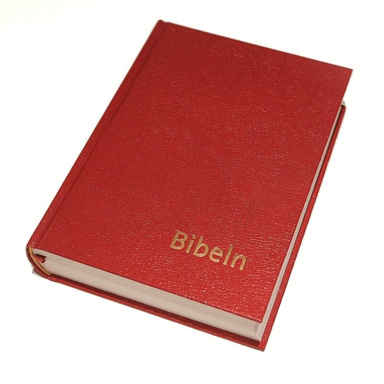 nya inlagan Bibel 2000 - Bibeln konstskinn normal, Inbunden
